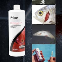 Seachem Prime – محلول معالج مركز للمياه (250 مل)