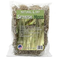 Spanish moss مجفف