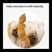 اكسسورات للزواحف مخبأ كانه جذع شجرة