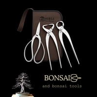 ادوات تقليم وتشكيل الشجره للمحترفين