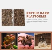 3قطع من الخشب الطبيعي