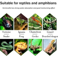 فيرميكوليت 4L لتربيه الزواحف