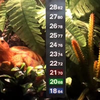 شريط قياس درجات الحرارة