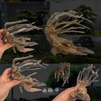 شجرة بونساي جافة مقاس M – تصميم طبيعي لفن الأكوابي...