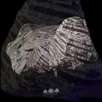 Shadow Ridge Stone – حجر التضاريس الطبقي للتنسيقات...