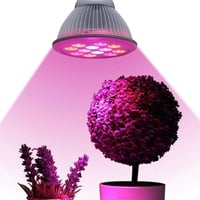 اضاءة LED ازرق احمر ( افضل اضاءه للنباتات )50000سا...