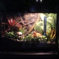 شريط قياس درجات الحرارة