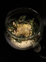 Live terrarium 6