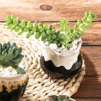 3 مراكن خزفية صغيرة للبونساي والصبارات