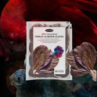 أوراق الكاتابا المجففة 100% الطبيعية – لتحسين جودة...