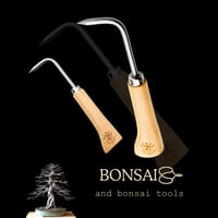 ادوات المحترفين لتنظيف الجذور من التربه