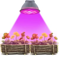 اضاءة LED ازرق احمر ( افضل اضاءه للنباتات )50000سا...