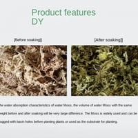 طحلب سفاجنوم موس 6gالأصلي – جودة عالية 100%