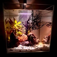 اكواريوم ‏A001