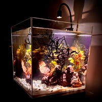 اكواريوم ‏A001