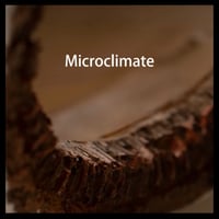 اكسسورات للزواحف مخبأ كانه جذع شجرة