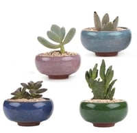 6 مراكن خزفية صغيرة للبونساي والصبارات