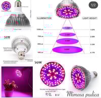 لمبه Led لنمو النبات