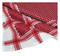 شماغ بروجيه فيجن ون الجديد