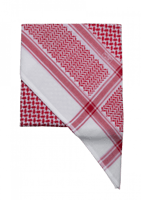 عرض الجنادرية عجلان واخوانه 3شماغ