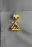 بروش سيفين ونخلة الاكثر فخامة