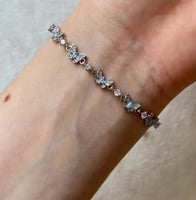 اسوارة الفراشة البراقة