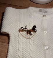 بروش اطفال بالاسم مع الحصان