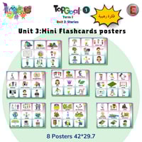 Unit 3 -Stories-Minin Flashcards -Posters