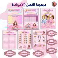 مجموعة الفصل (الأميرات )