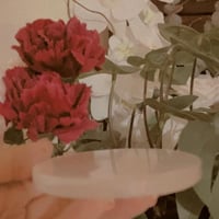 صحن سيلينايت للعناية بالأحجار