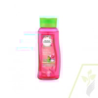 خلاصة الورد