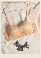 سنتيان دانتيل تغطية كاملة