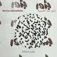 بذور عشبة سنا الصينية - المنجلية ( Senna obtusifol...