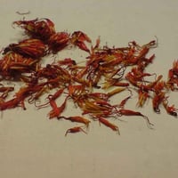 بذور العصفر ( القرطم ) carthamus tinctorius