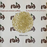 بذور فلفل حار أصفر - كبير الحجم ( Capsicum annuum...