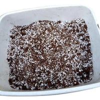 بيرلايت زراعي ( Perlite )