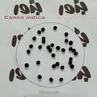 بذور الكنا الهنديه الحمراء جملة