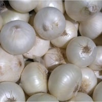 بذور بصل أبيض - white onion