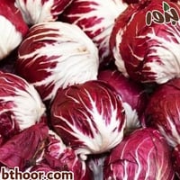 بذور الهندباء (Cichorium intybus var. foliosum)