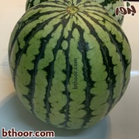 بذور بطيخ اصفر