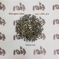 بذور شجرة كف مريم ( جملة )