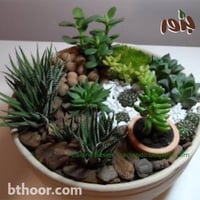 حجر زينة (حصى)