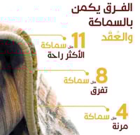 مصلى المدينة المنورة الأكثر راحة 11 ملي