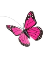 فراشة الحديقة الشمسية (Solar Butterfly Garden)