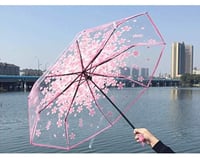 مظلة شفافة بأزهار الكرز