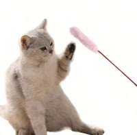 لعبة سنارة للقطط بريش