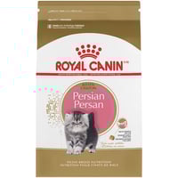 طعام جاف للقطط الصغيرة بيرشن من شركة Royal canin