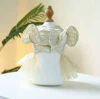 فستان للحيوانات الأليفة