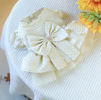 فستان للحيوانات الأليفة