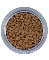 طعام جاف للقطط البيرشن من شركة Royal canin